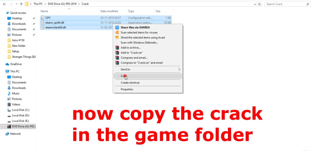 Copy the Crack in the game folder