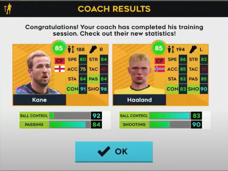 Coach Results of Harry Kane and Elring Haaland in Dream League Soccer 2023