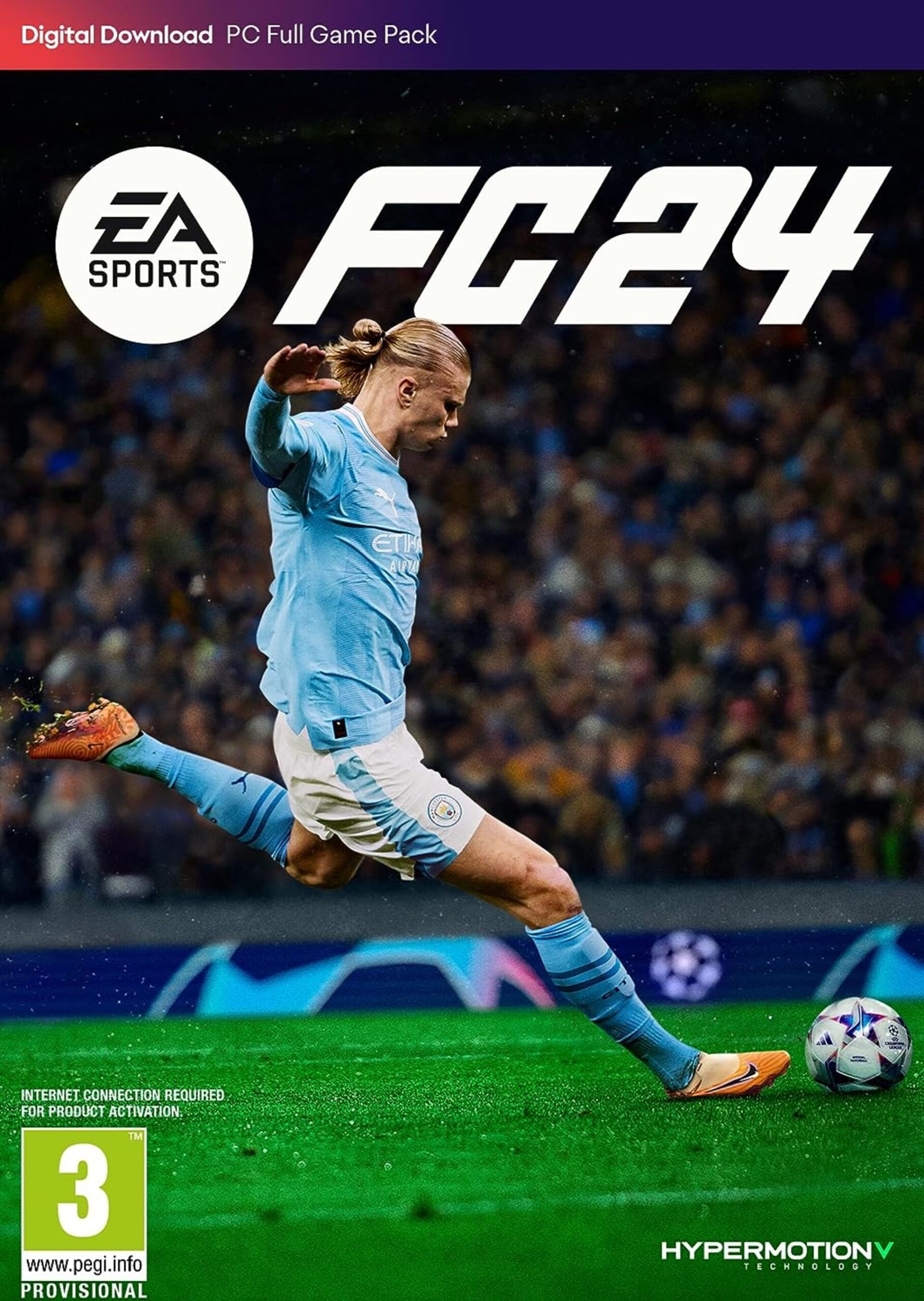 FC 24 PC version