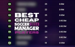 best cheap players in Soccer Manager 2024
